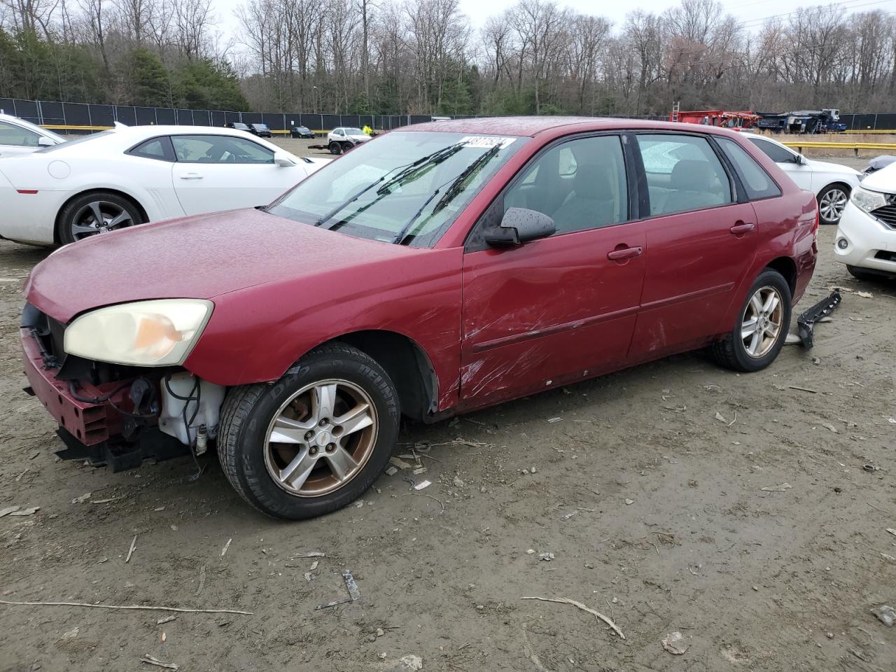 CHEVROLET MALIBU 2004 1g1zt62884f219370