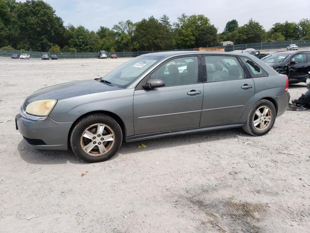 CHEVROLET MALIBU MAX 2005 1g1zt62885f171046