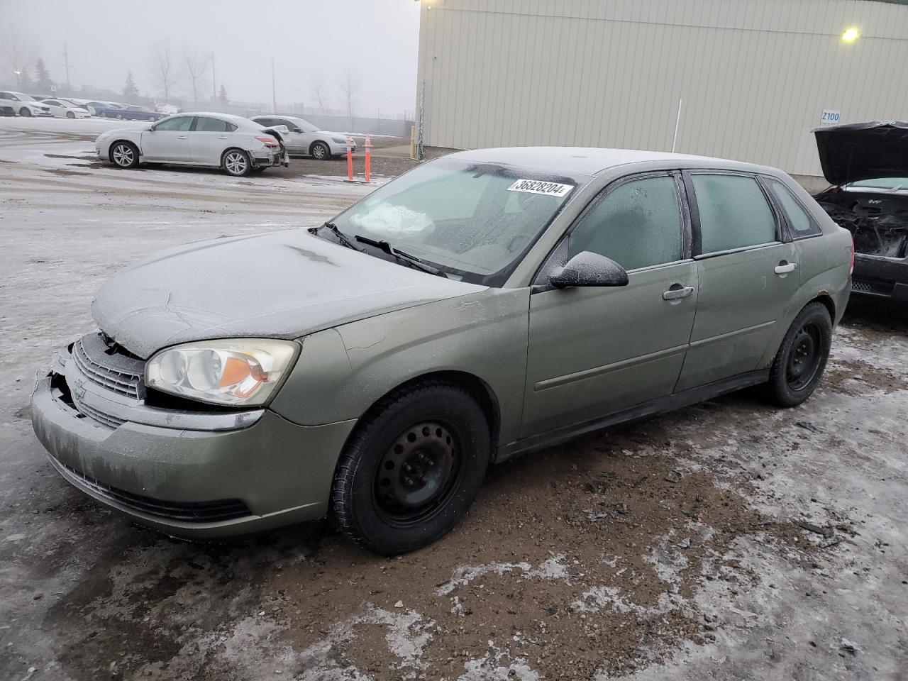 CHEVROLET MALIBU 2005 1g1zt62895f215491