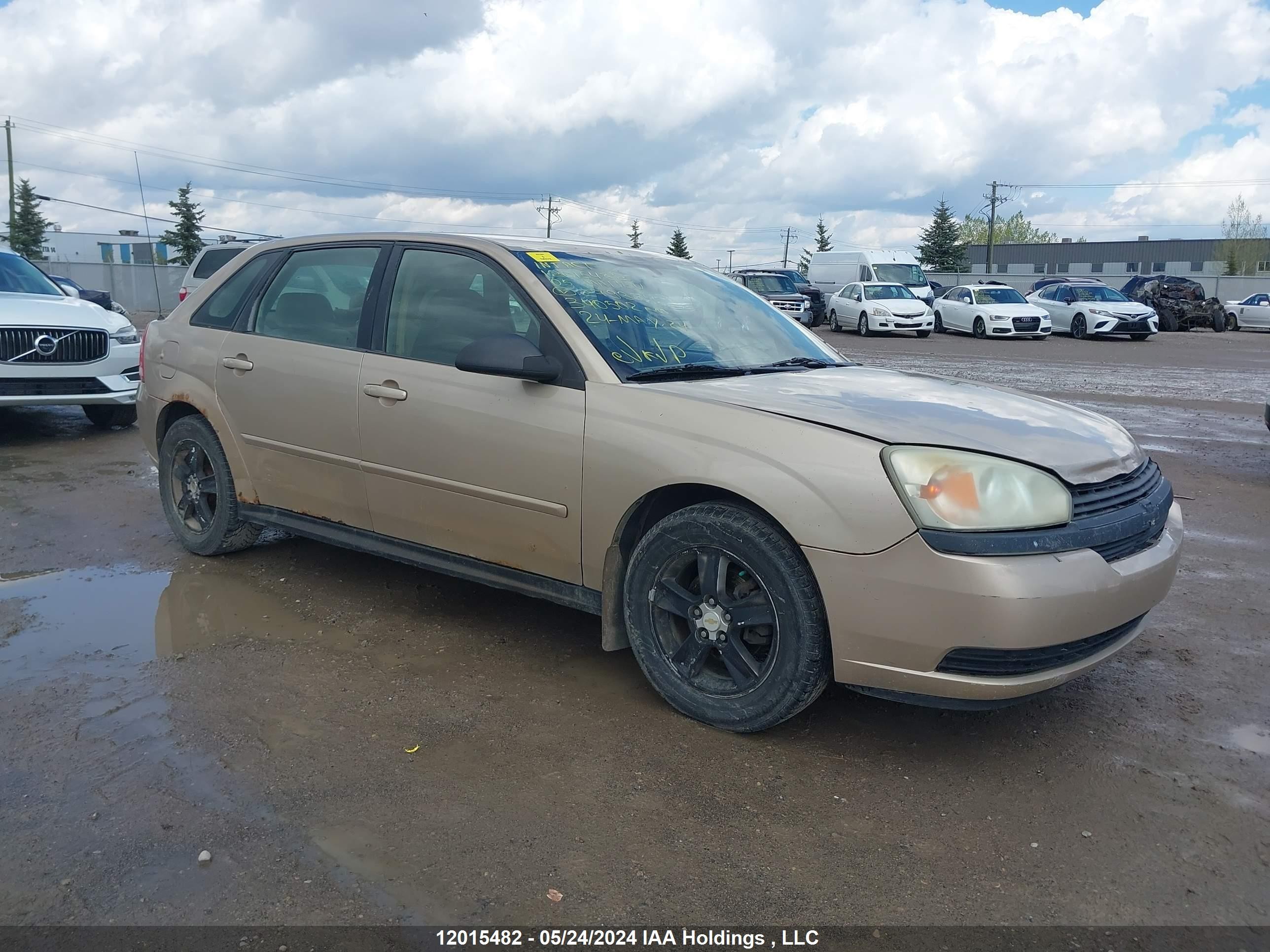 CHEVROLET MALIBU 2005 1g1zt62895f279384