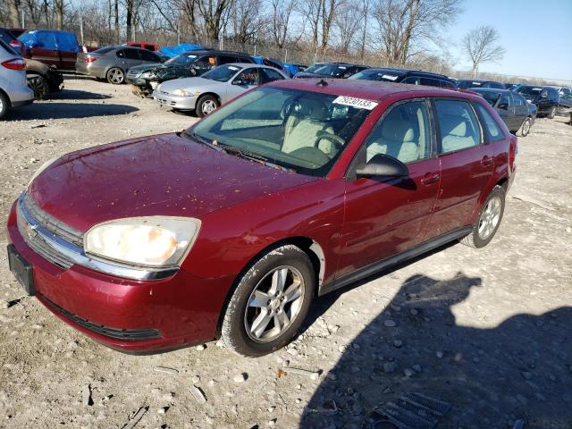 CHEVROLET MALIBU 2005 1g1zt64815f216938