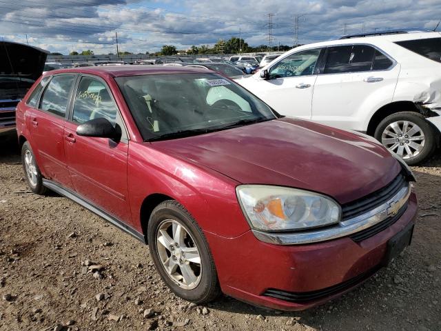 CHEVROLET MALIBU MAX 2005 1g1zt64865f188294