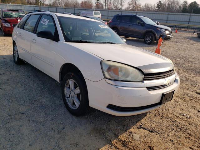 CHEVROLET MALIBU MAX 2004 1g1zt64874f187850