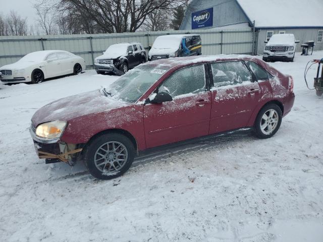 CHEVROLET MALIBU MAX 2004 1g1zt648x4f200901