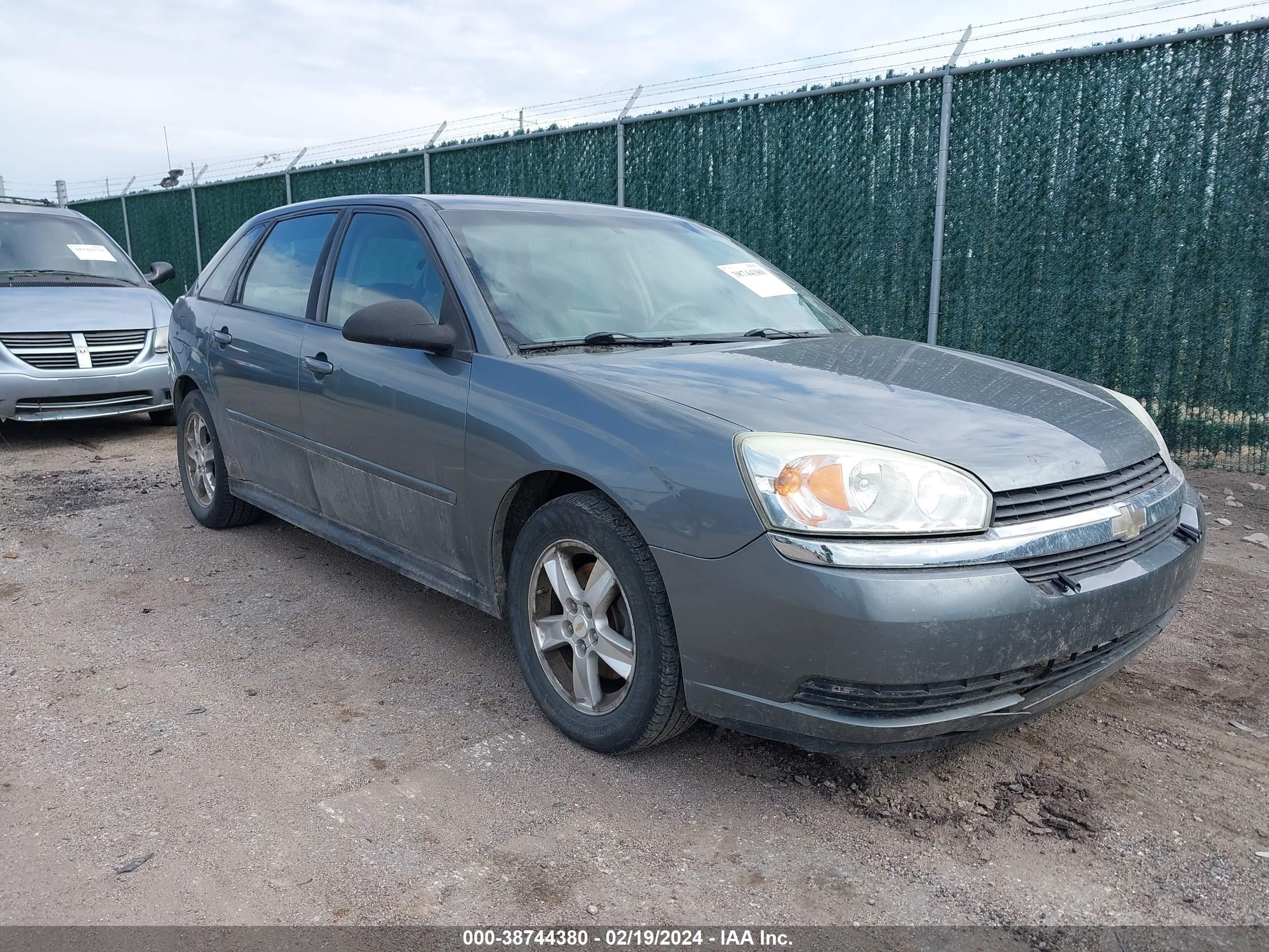 CHEVROLET MALIBU 2005 1g1zt648x5f173457