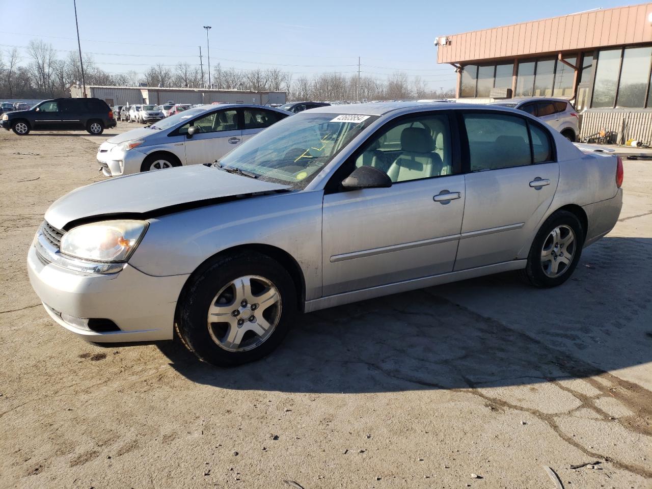 CHEVROLET MALIBU 2005 1g1zu54805f151202