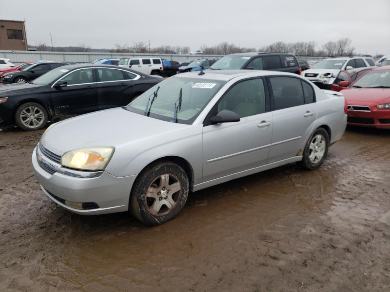 CHEVROLET MALIBU 2004 1g1zu54814f216718