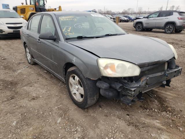 CHEVROLET MALIBU LT 2004 1g1zu54844f172696