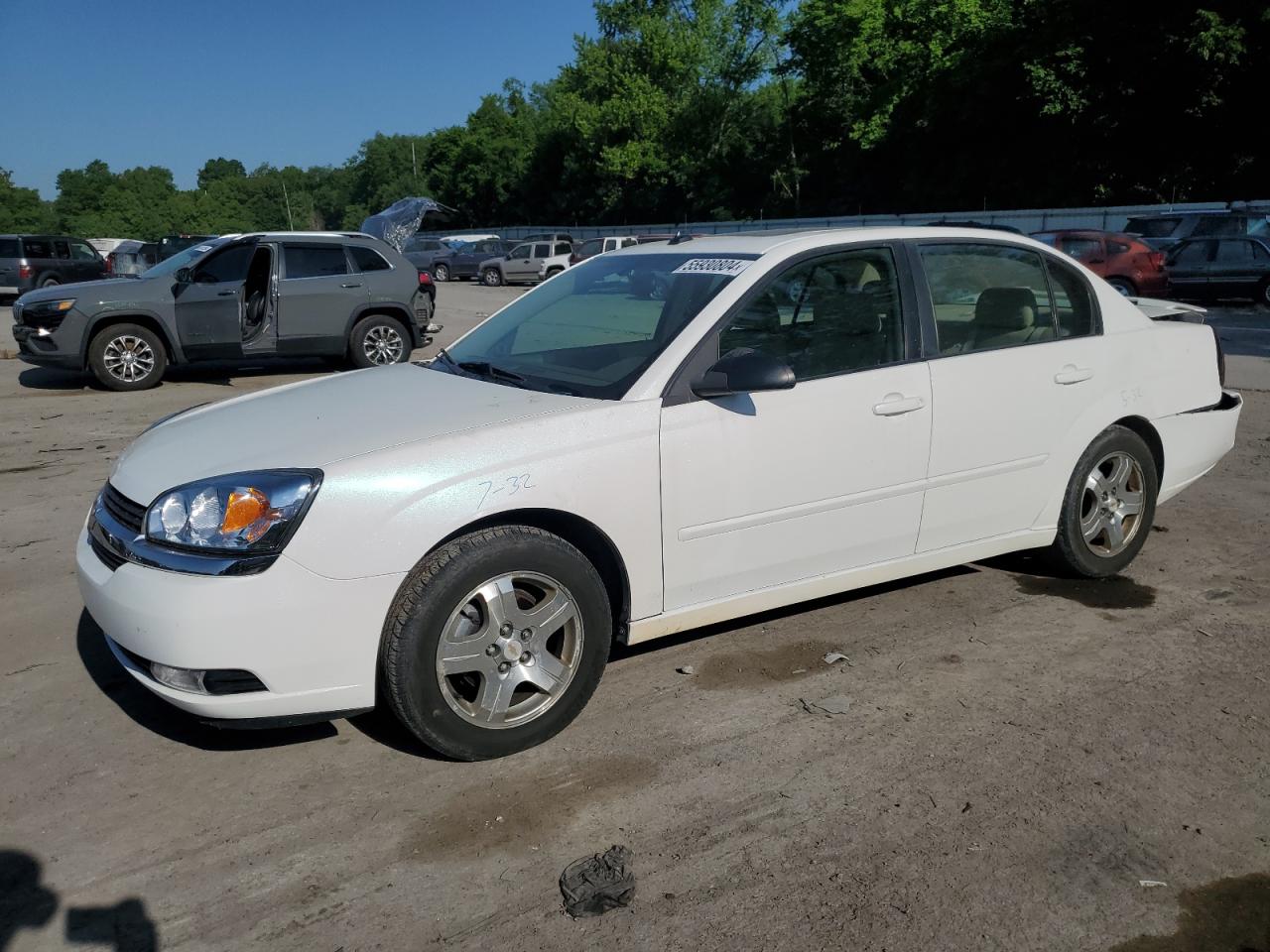 CHEVROLET MALIBU 2004 1g1zu54894f114826