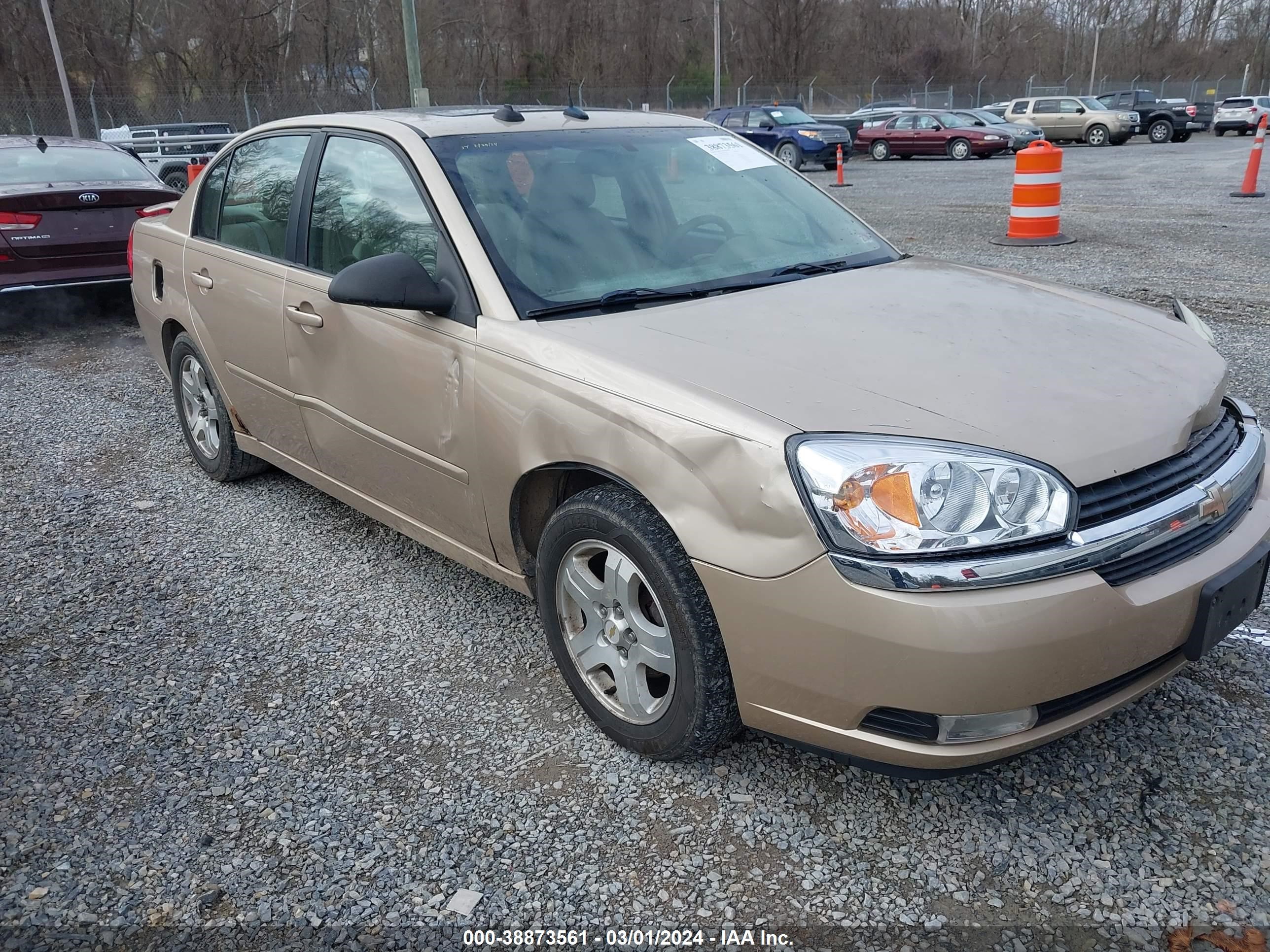 CHEVROLET MALIBU 2005 1g1zu548x5f149909