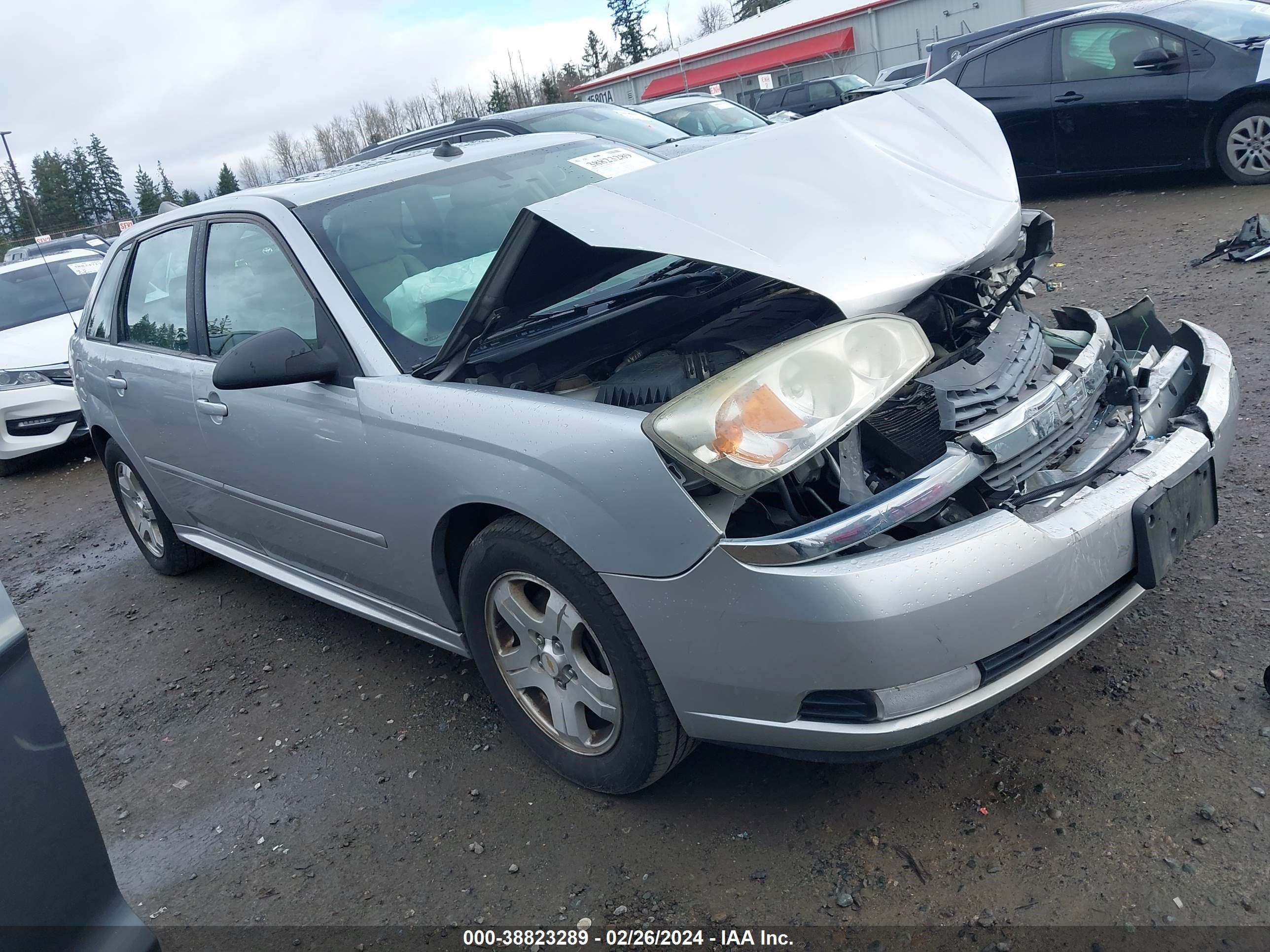 CHEVROLET MALIBU 2005 1g1zu648x5f192913