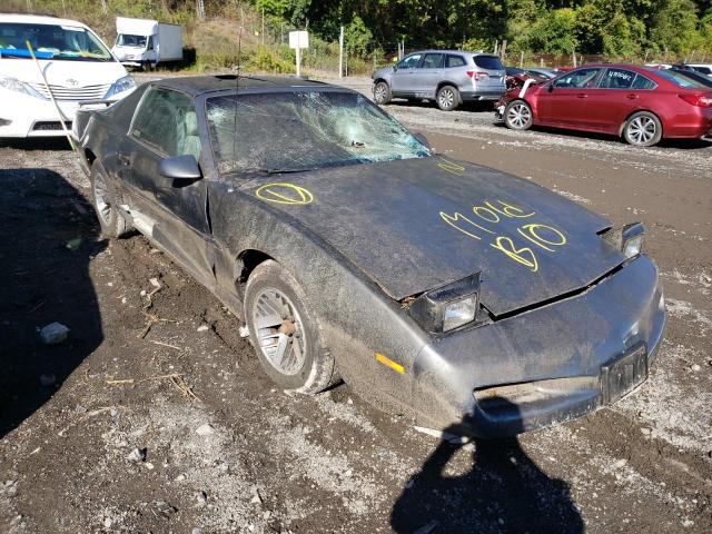 PONTIAC FIREBIRD 1991 1g2fs23t8ml223854