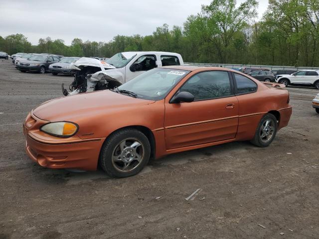 PONTIAC GRANDAM 2004 1g2nv12e34c130773