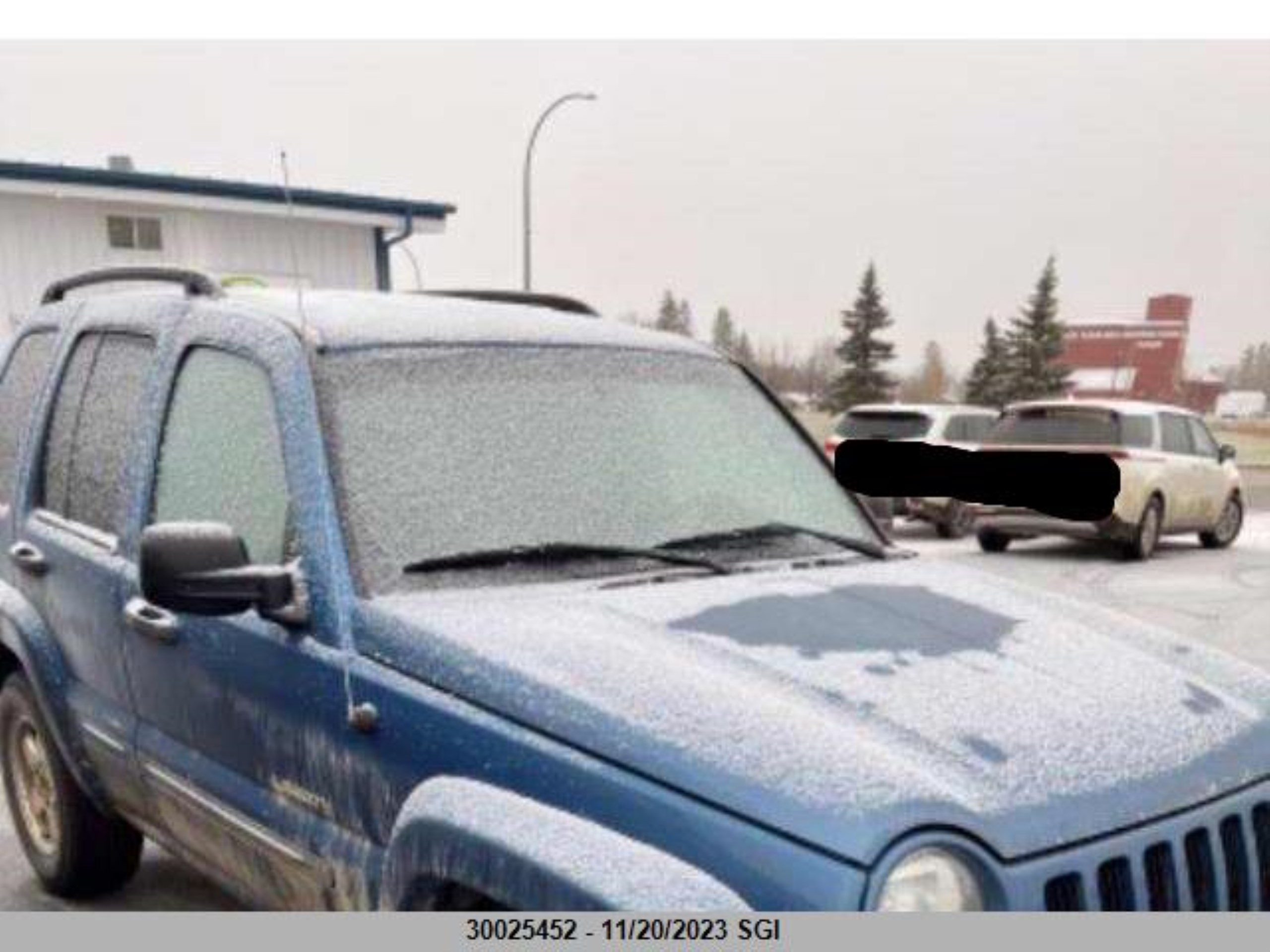 JEEP LIBERTY (NORTH AMERICA) 2004 1g4hd57298u205523