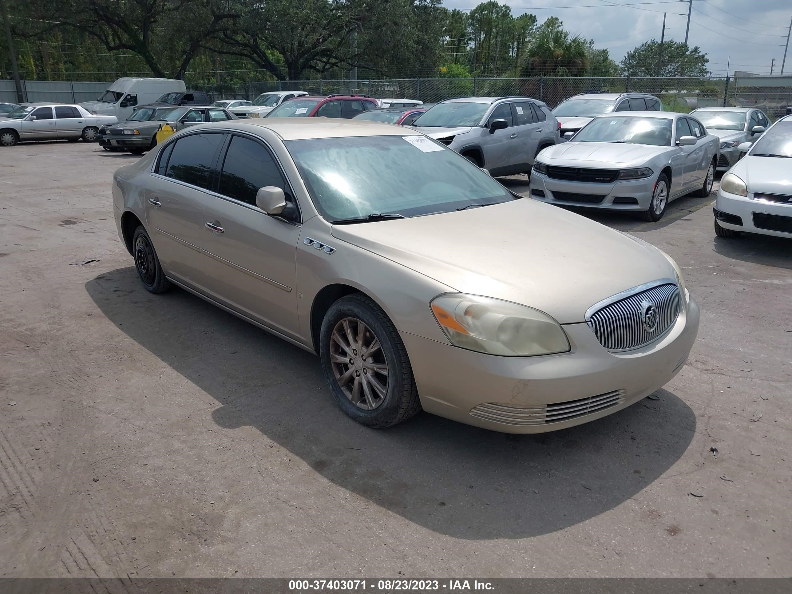 BUICK LUCERNE 2009 1g4hd57m19u141920