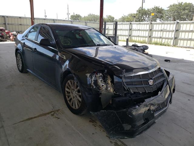 CADILLAC CTS 2010 1g6da5eg3a0145037