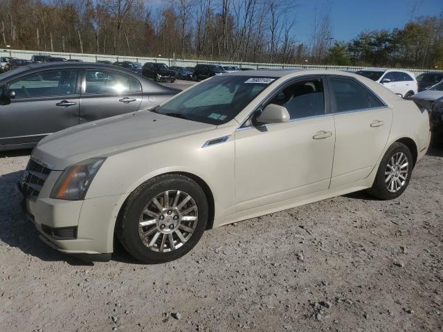 CADILLAC CTS 2011 1g6da5ey0b0154109