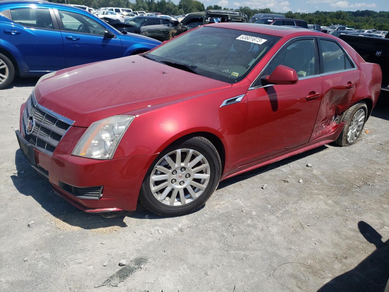 CADILLAC CTS 2011 1g6dh5ey7b0132815