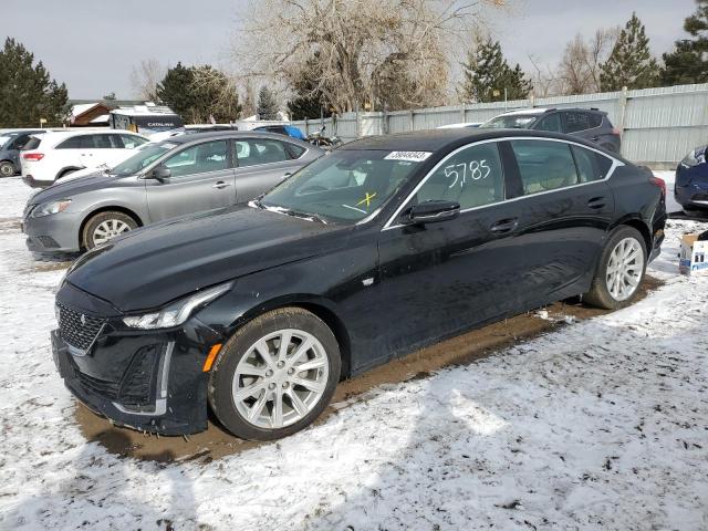 CADILLAC CT5 LUXURY 2021 1g6dm5rk6m0134382