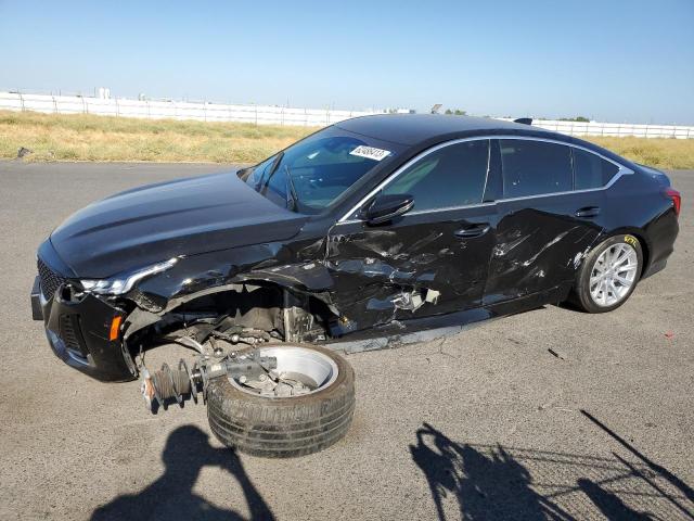 CADILLAC NULL 2020 1g6dm5rk7l0137886