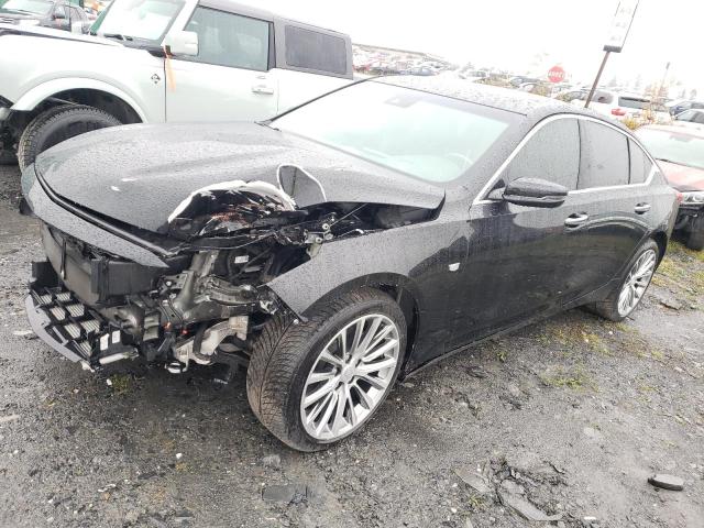 CADILLAC CT5 2021 1g6dt5rwxm0113735