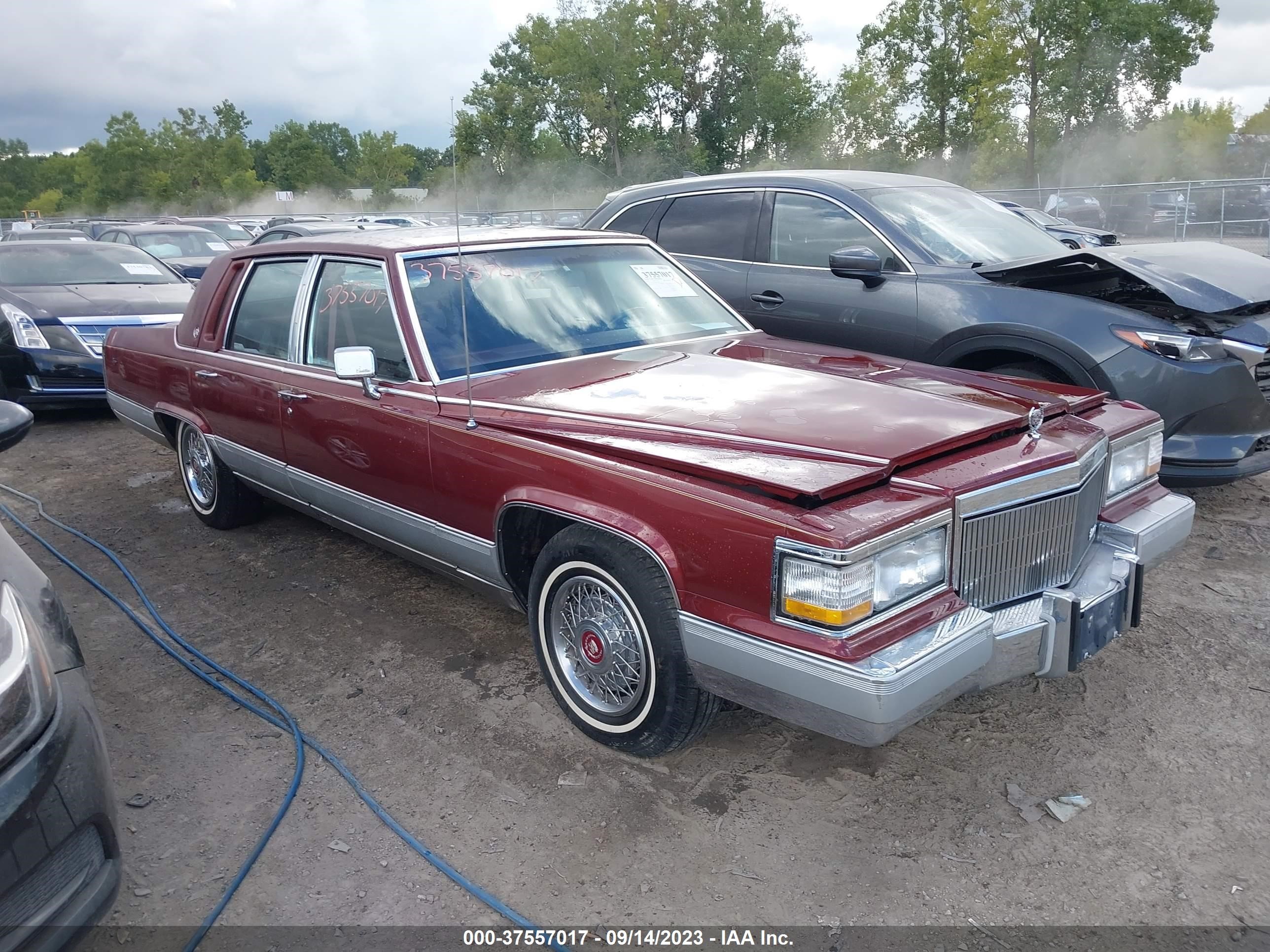 CADILLAC BROUGHAM 1992 1g6dw5474nr712845