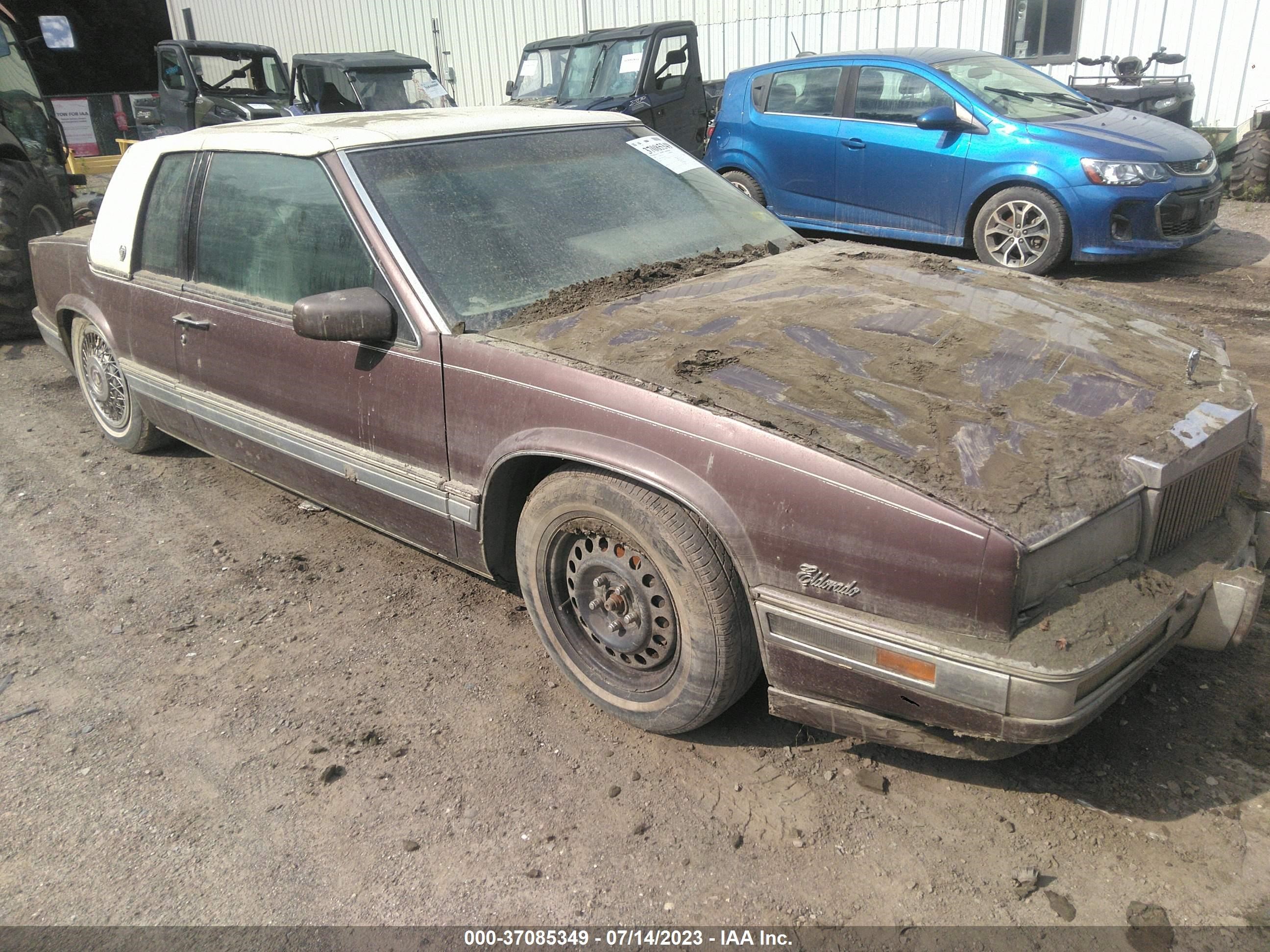 CADILLAC ELDORADO 1989 1g6el1159ku611463