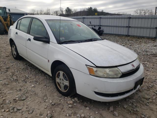 SATURN ION LEVEL 2004 1g8ag52f24z106931