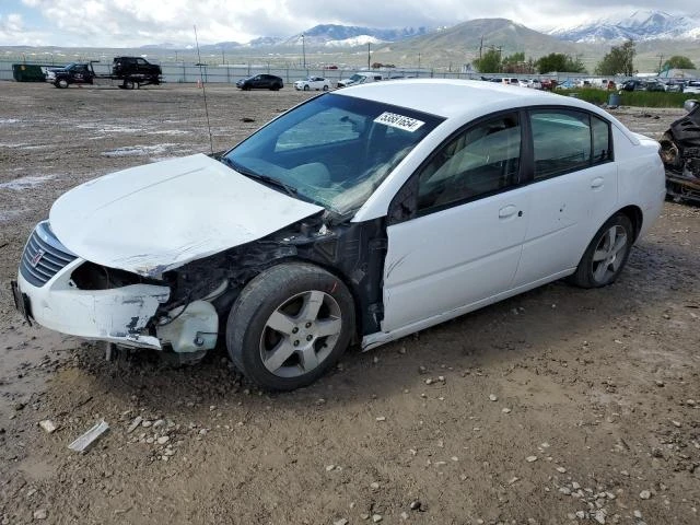 SATURN ION LEVEL 2006 1g8al55f76z165872