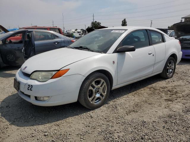 SATURN ION LEVEL 2004 1g8aw12f54z139742