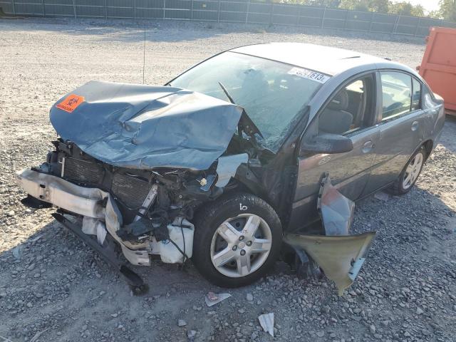 SATURN ION LEVEL 2006 1g8az55f26z209467