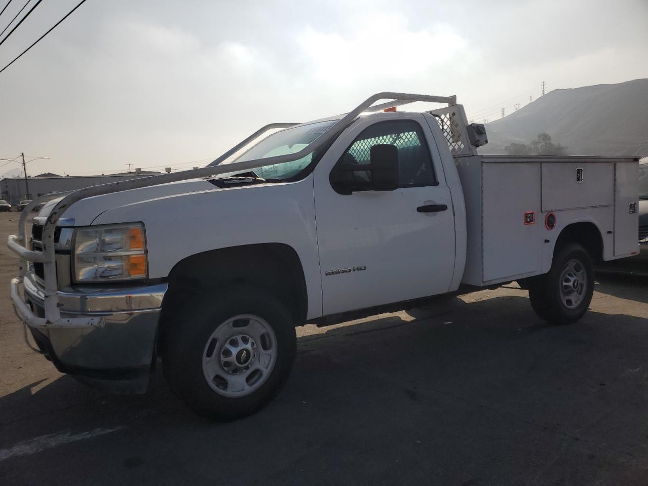 CHEVROLET SILVERADO 2013 1gb0cvcg5df110482