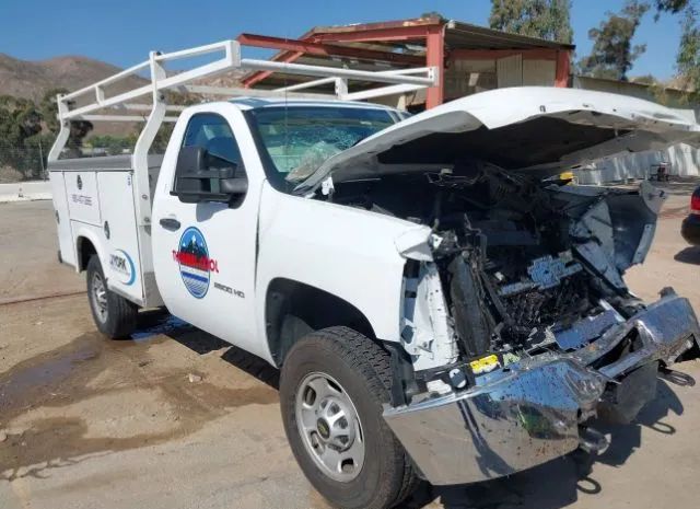 CHEVROLET SILVERADO 2013 1gb0cvcg7df159750