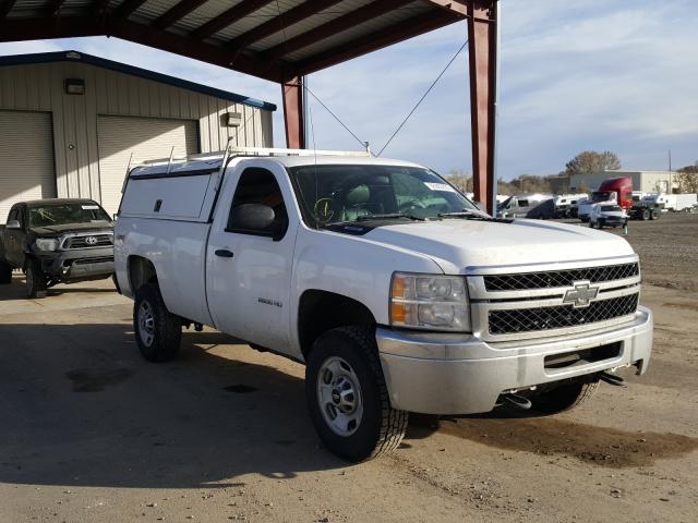 CHEVROLET SILVERADO 2011 1gb0kvcg6bf190519