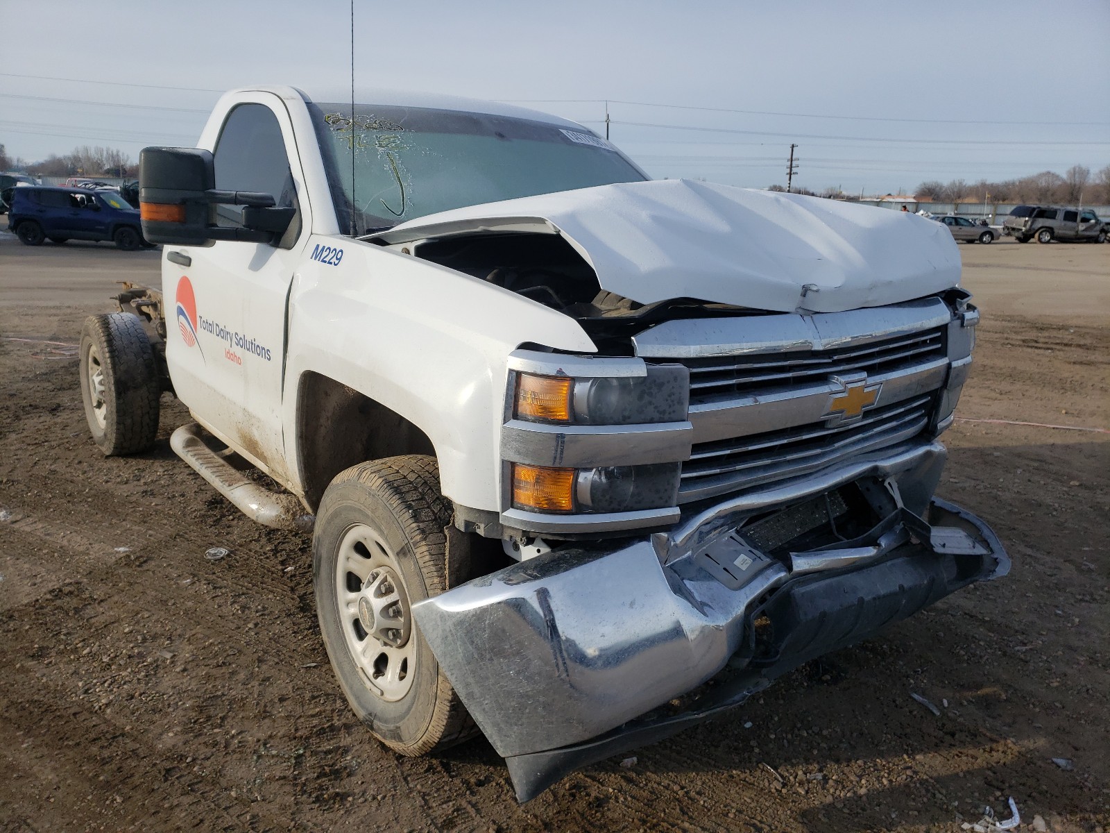 CHEVROLET SILVERADO 2018 1gb0kyeg5jz338090