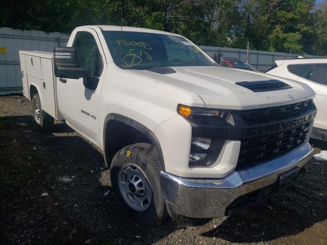 CHEVROLET SILVERADO 2020 1gb0yle79lf276098