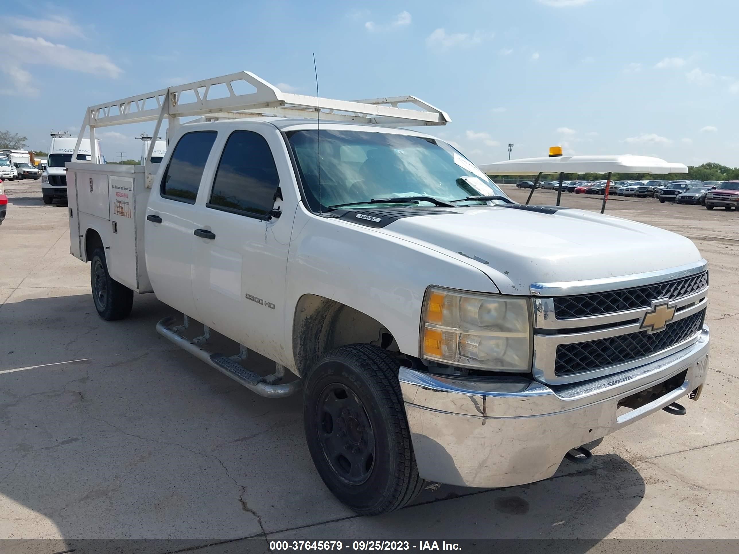 CHEVROLET SILVERADO 2011 1gb1cvcg8bf253234