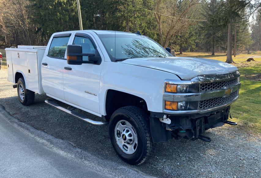 CHEVROLET SILVERADO 2019 1gb1kreg7kf208468