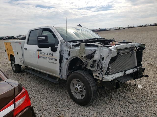 CHEVROLET SILVERADO 2020 1gb1wle7xlf255707