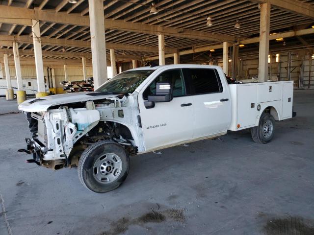 CHEVROLET SILVERADO 2022 1gb1yle73nf356830