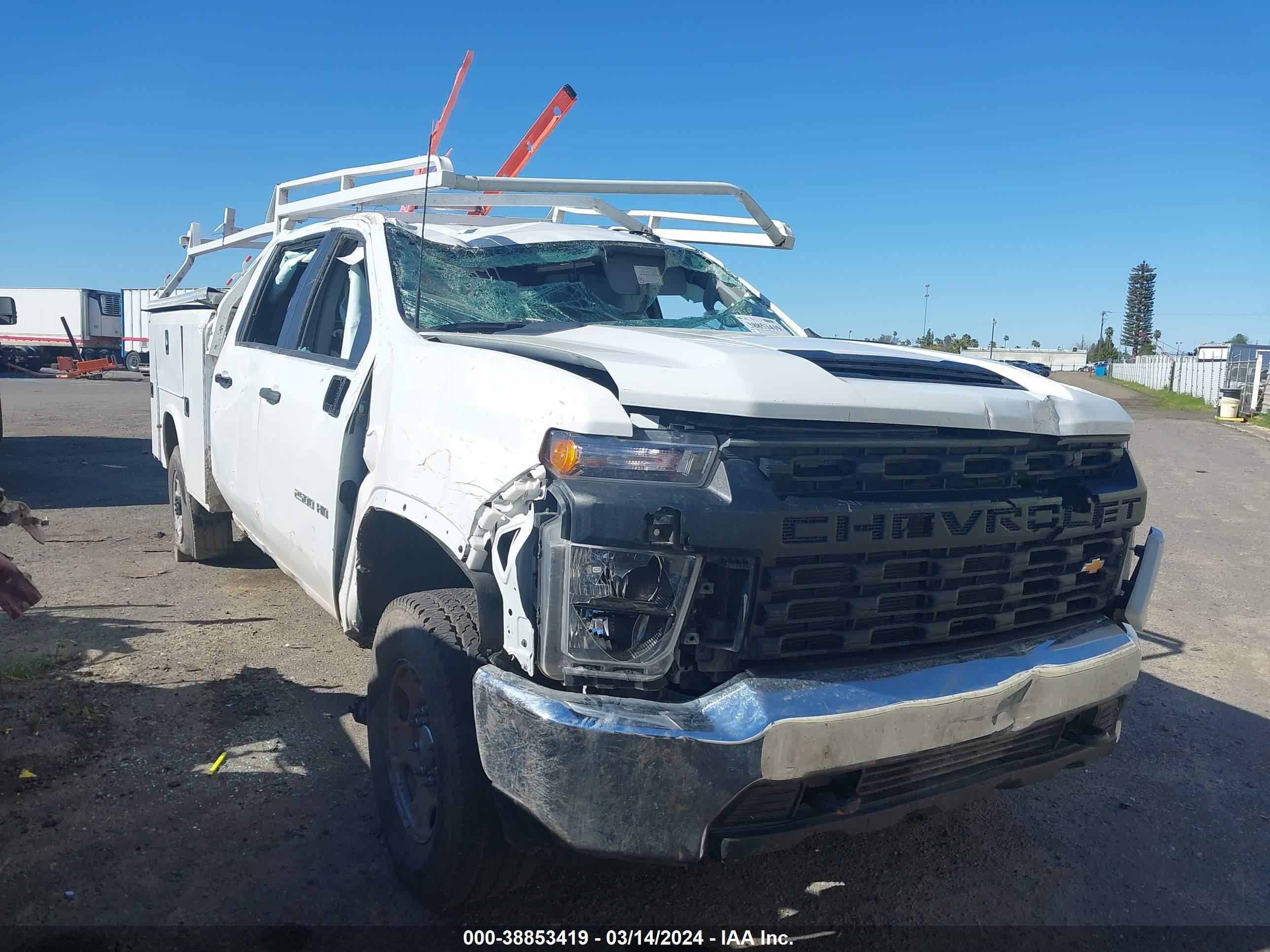 CHEVROLET SILVERADO 2023 1gb1yle77pf157797