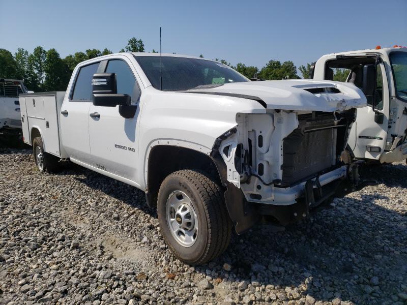 CHEVROLET SILVERADO 2020 1gb1yle7xlf265552