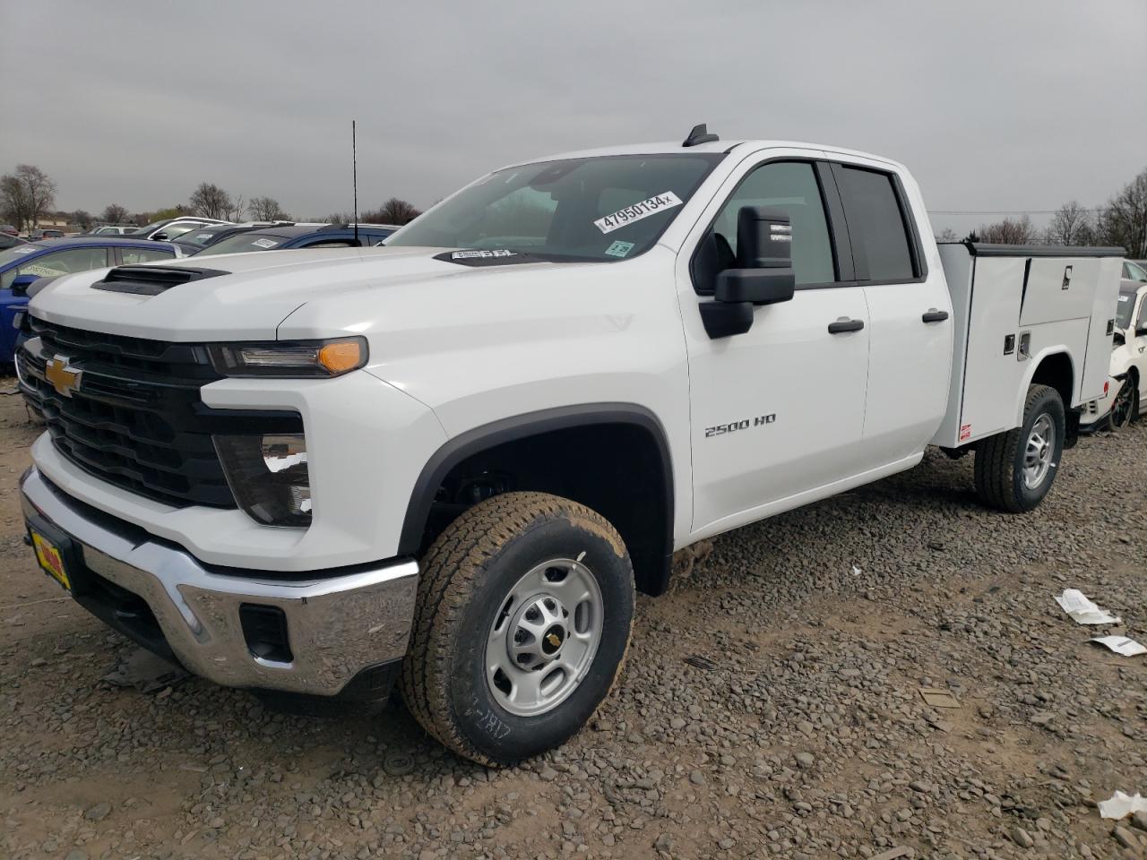 CHEVROLET SILVERADO 2024 1gb2yle76rf276044