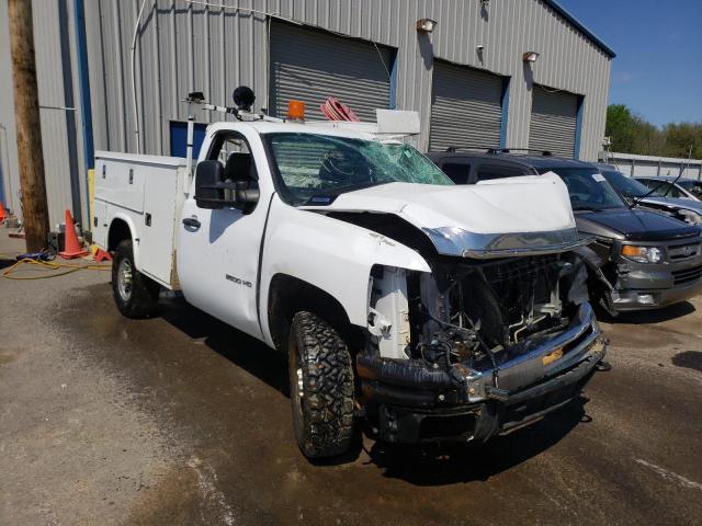 CHEVROLET SILVERADO 2010 1gb3cvbk0af149463