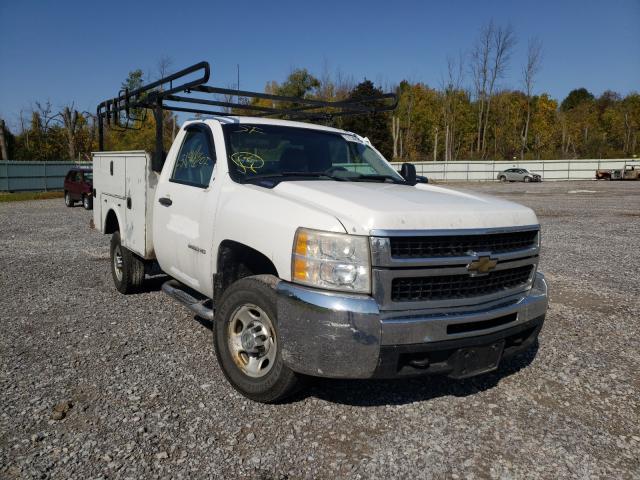 CHEVROLET SILVERADO 2010 1gb3cvbk2af137413