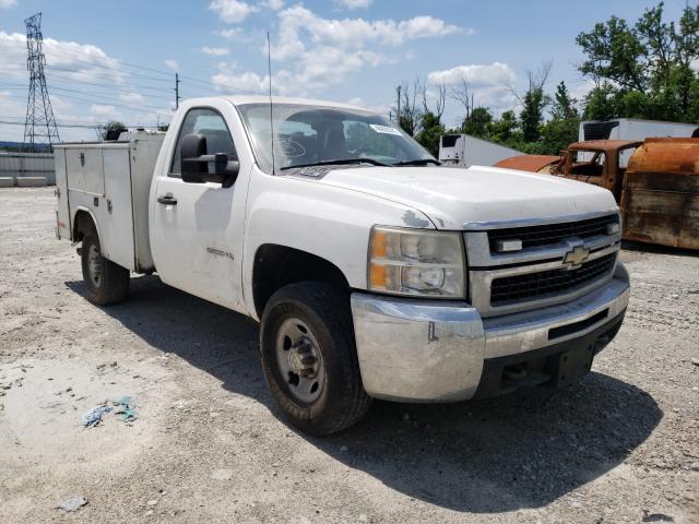 CHEVROLET SILVERADO 2010 1gb3cvbk3af103271