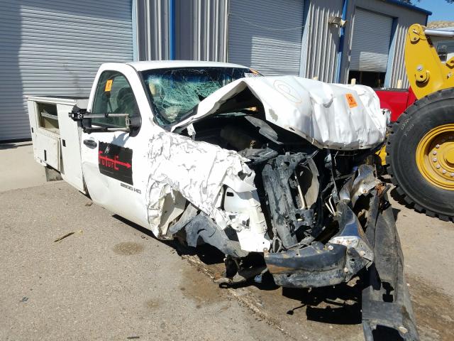 CHEVROLET SILVERADO 2010 1gb3cvbk7af149606