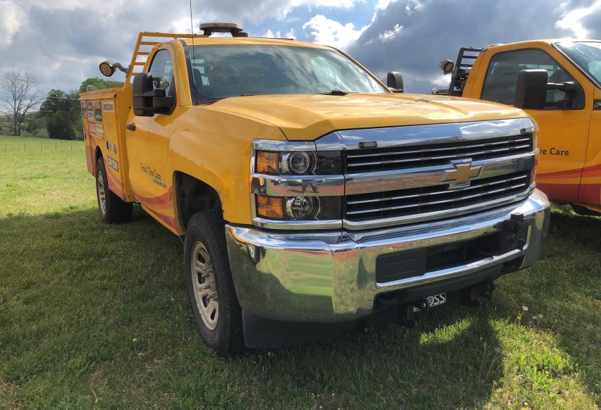 CHEVROLET SILVERADO 2015 1gb3kycg1fz517671