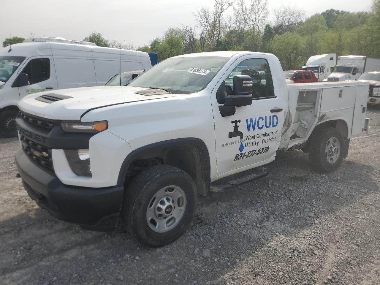 CHEVROLET SILVERADO 2020 1gb3yle72lf286971