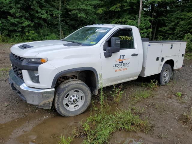 CHEVROLET SILVERADO 2020 1gb3yle73lf333702